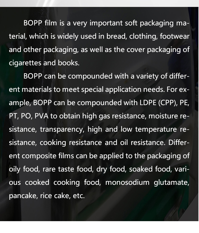 英文-移动-14-双向拉伸聚丙烯珠光类哑面珠光膜_09.jpg